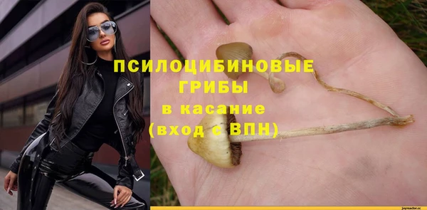 гашик Беломорск