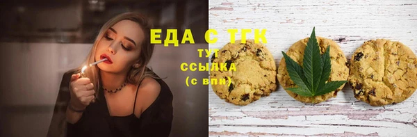 мдпв Бородино