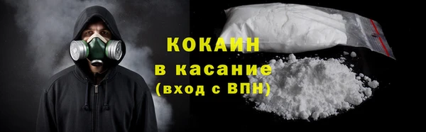 бошки Белокуриха